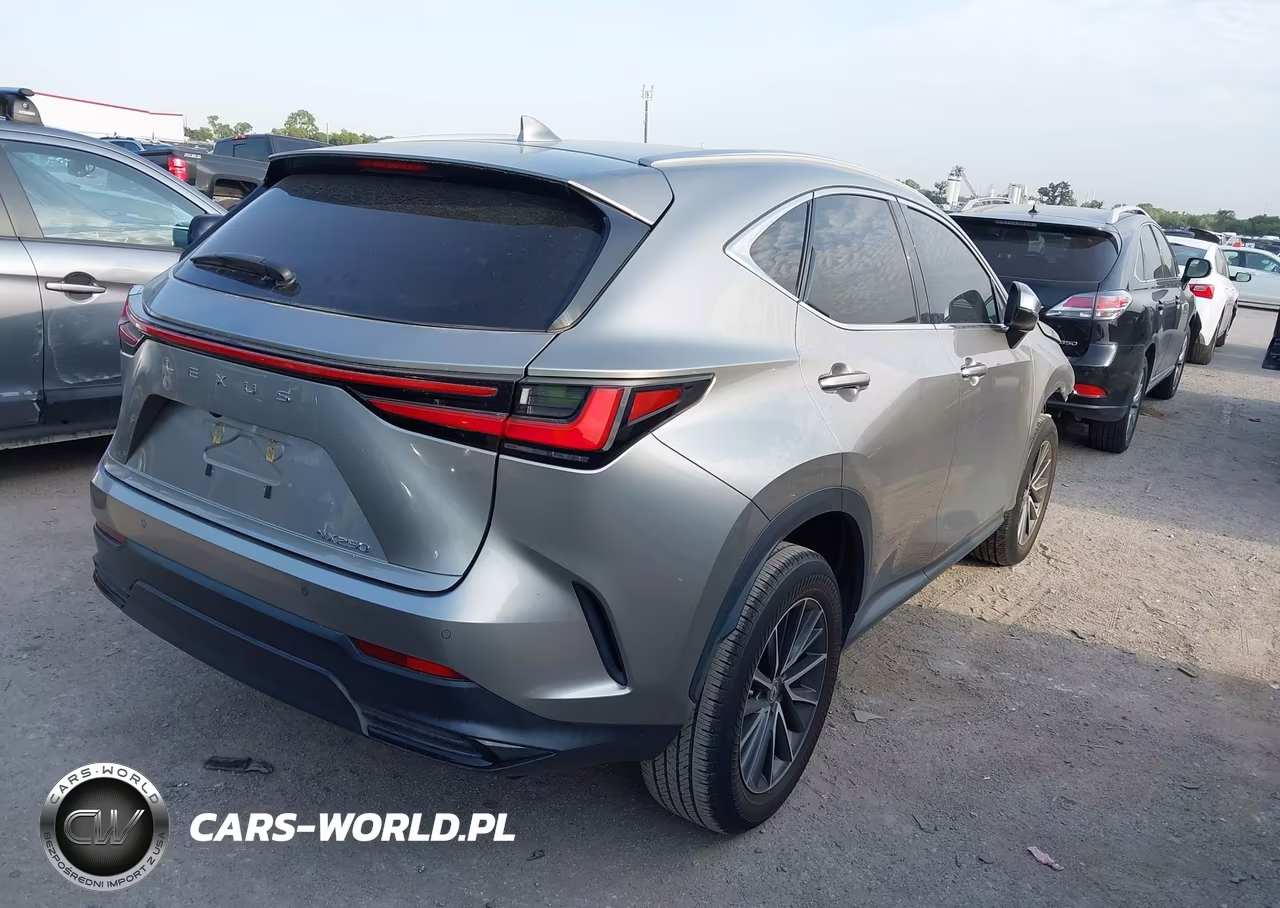 2022 Lexus Nx 250 Premium VIN:2T2GDCAZ9NC002940 - 4