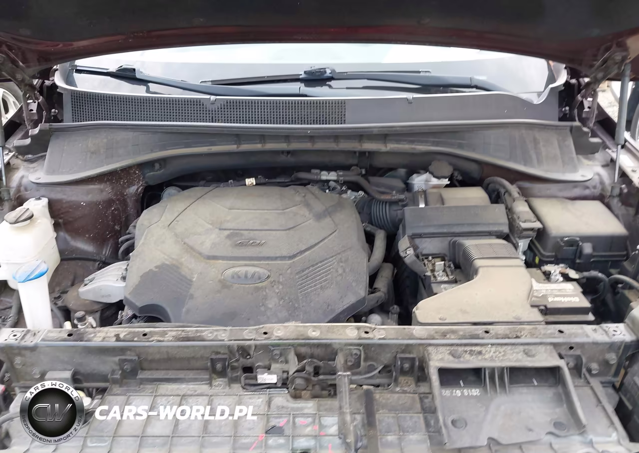 2019 Kia Sorento 3.3L Sx VIN:5XYPKDA54KG524484 - 10