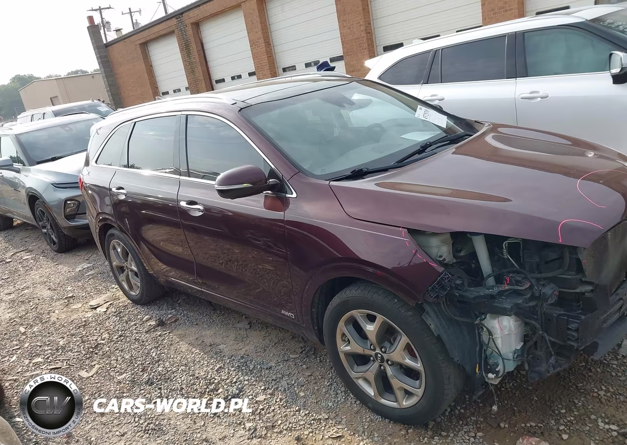 2019 Kia Sorento 3.3L Sx VIN:5XYPKDA54KG524484 - 13