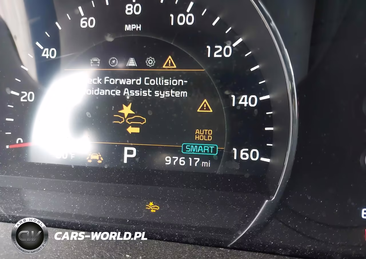 2019 Kia Sorento 3.3L Sx VIN:5XYPKDA54KG524484 - 15