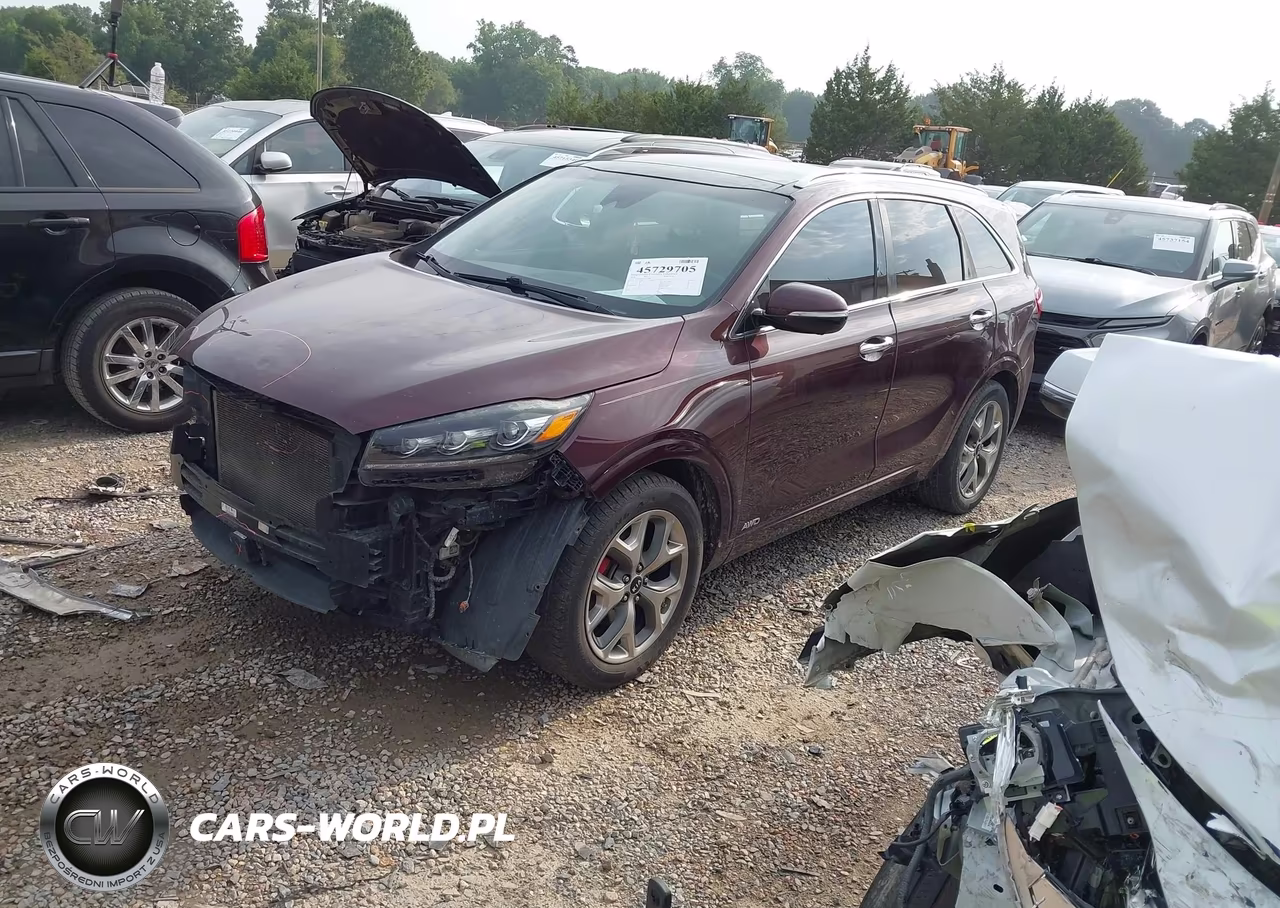 2019 Kia Sorento 3.3L Sx VIN:5XYPKDA54KG524484 - 2