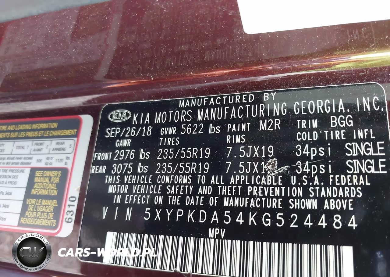 2019 Kia Sorento 3.3L Sx VIN:5XYPKDA54KG524484 - 9