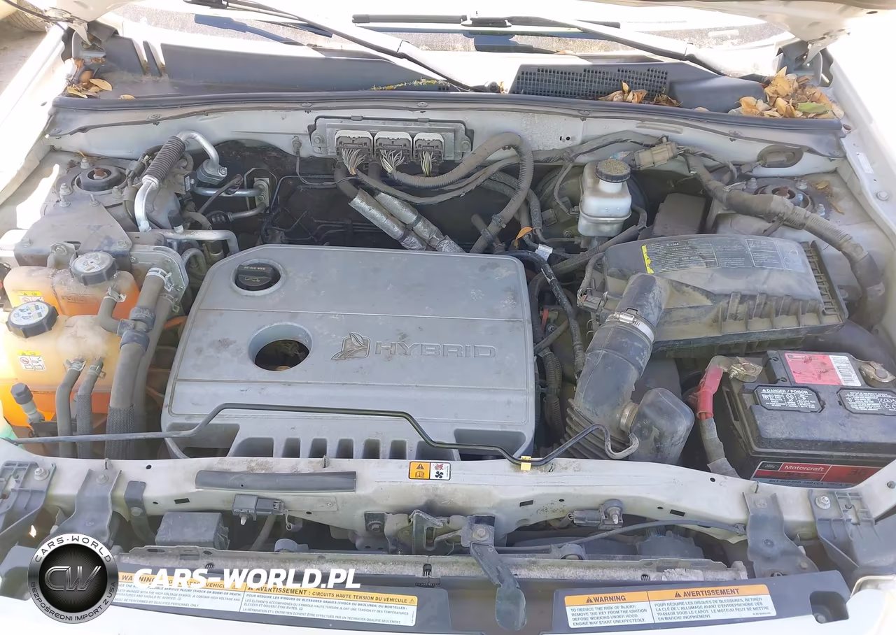 2009 Ford Escape Hybrid Limited VIN:1FMCU49389KB46911 - 10
