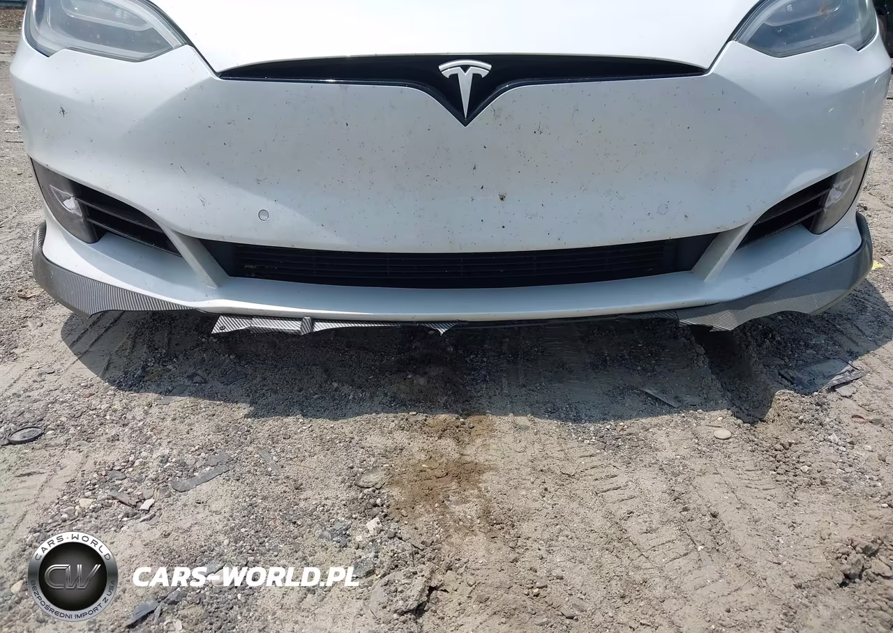 2019 Tesla Model S 100D-Long Range-P100D-Performance VIN:5YJSA1E43KF312843 - 6