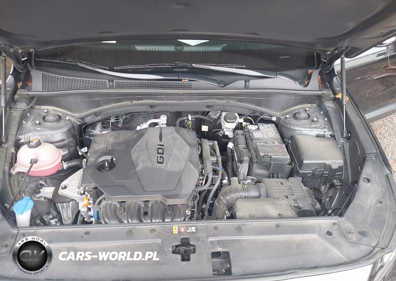 2023 Hyundai Santa Fe Sel VIN:5NMS2DAJ8PH598639 - 10