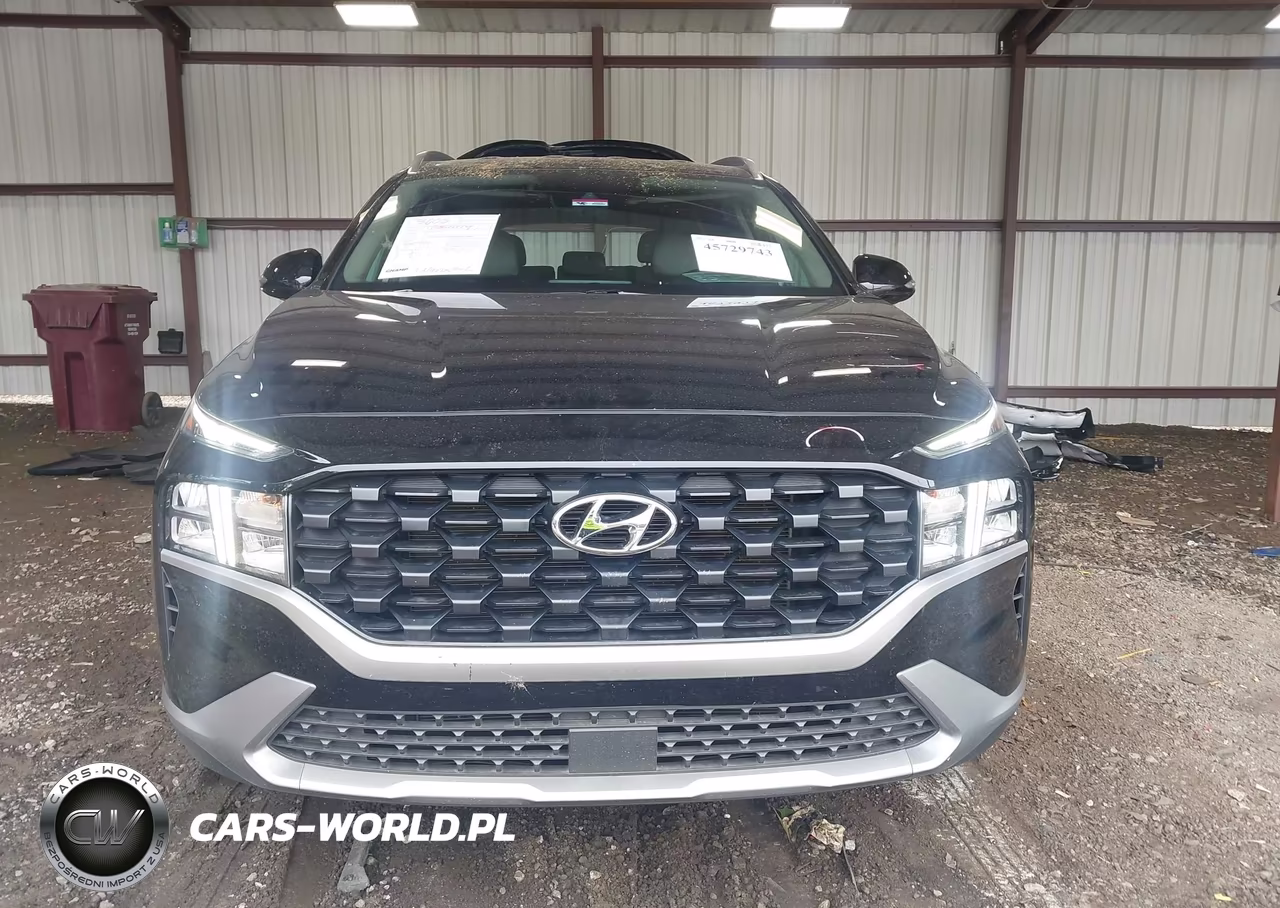 2023 Hyundai Santa Fe Sel VIN:5NMS2DAJ8PH598639 - 13