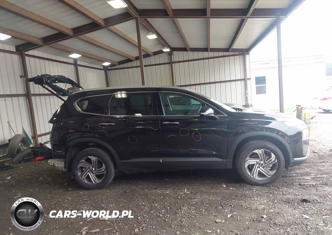 2023 Hyundai Santa Fe Sel VIN:5NMS2DAJ8PH598639 - 14
