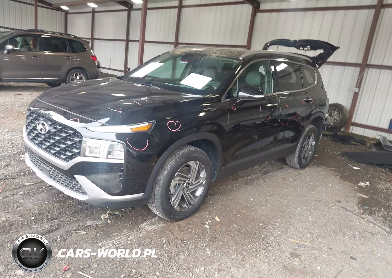 2023 Hyundai Santa Fe Sel VIN:5NMS2DAJ8PH598639 - 2