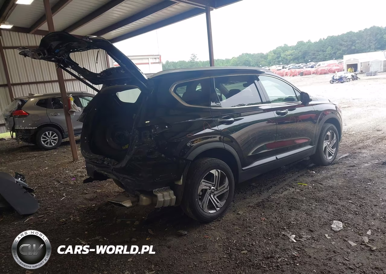 2023 Hyundai Santa Fe Sel VIN:5NMS2DAJ8PH598639 - 4