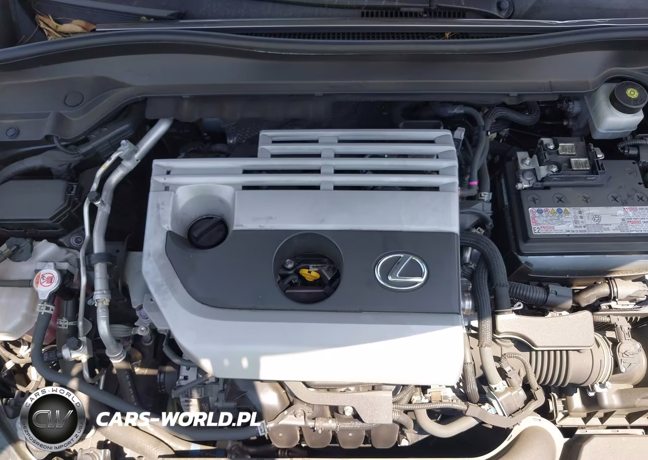 2021 Lexus Ux 200 F Sport VIN:JTHE3JBH4M2042119 - 10
