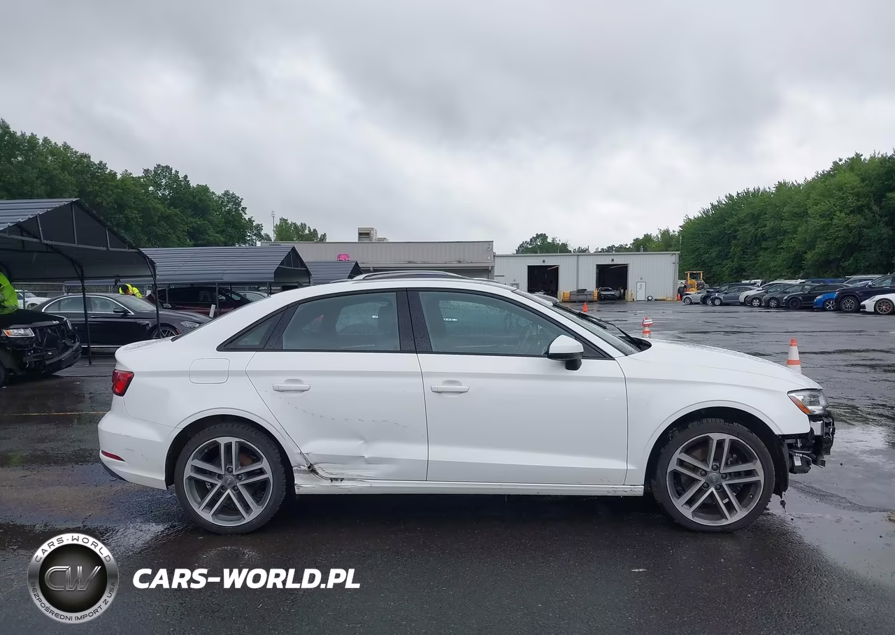 2020 Audi A3 Premium 40 Tfsi Front-Wheel Drive S Tronic VIN:WAUAUGFF0LA103461 - 13