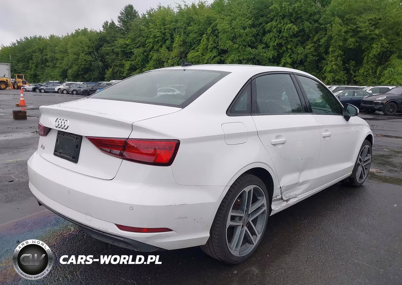 2020 Audi A3 Premium 40 Tfsi Front-Wheel Drive S Tronic VIN:WAUAUGFF0LA103461 - 4