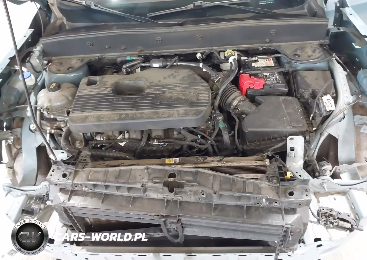 2021 Ford Bronco Sport Badlands VIN:3FMCR9D95MRB07966 - 10