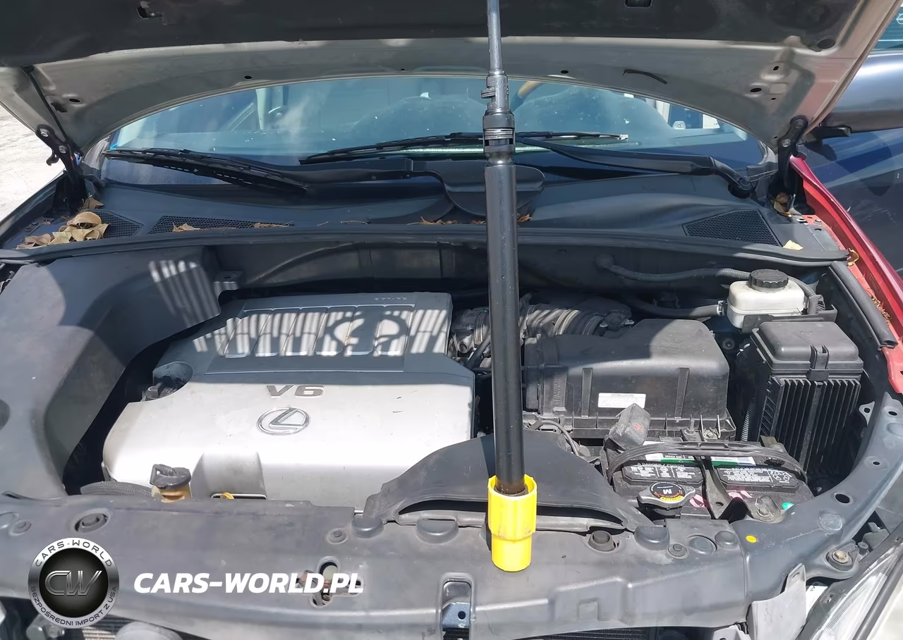 2007 Lexus Rx 350 VIN:2T2GK31U57C005329 - 10