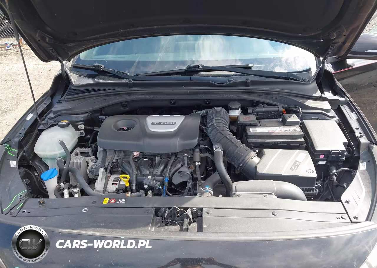 2018 Hyundai Elantra Gt Sport VIN:KMHH55LC9JU040803 - 10