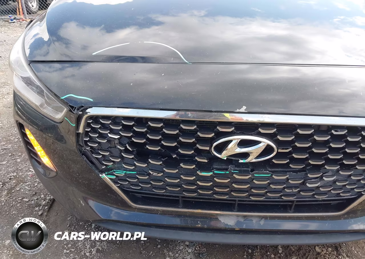 2018 Hyundai Elantra Gt Sport VIN:KMHH55LC9JU040803 - 6