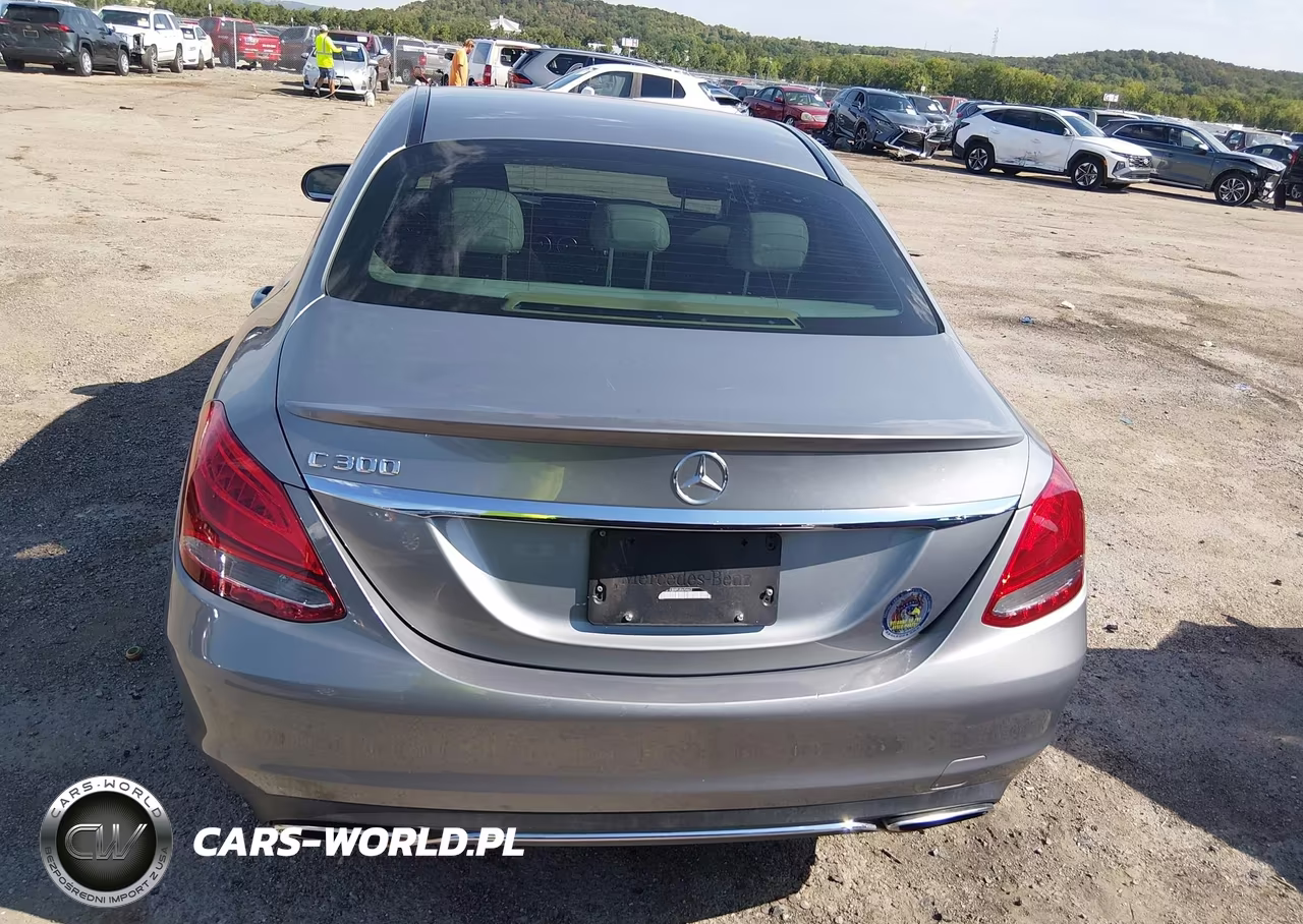 2015 Mercedes-Benz C 300 VIN:55SWF4JB8FU065462 - 16