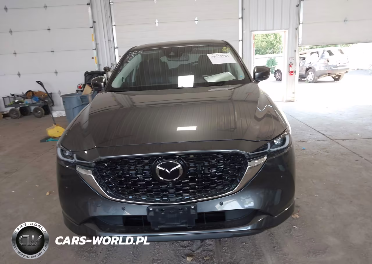 2025 Mazda Cx-5 2.5 S Premium Plus VIN:JM3KFBEM2S0711014 - 11