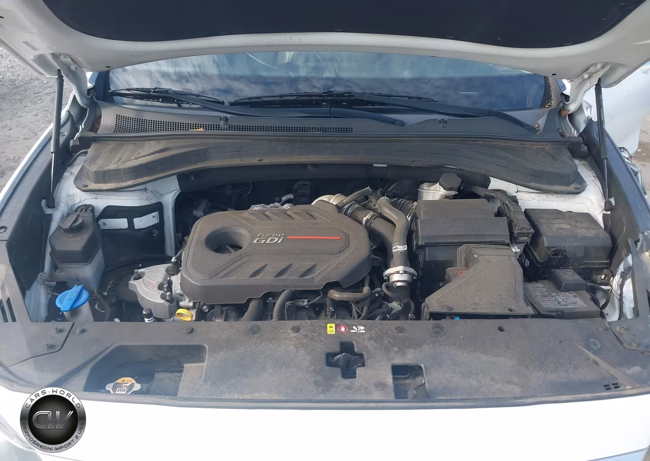 2019 Hyundai Santa Fe Limited 2.0T VIN:5NMS5CAA9KH127190 - 10