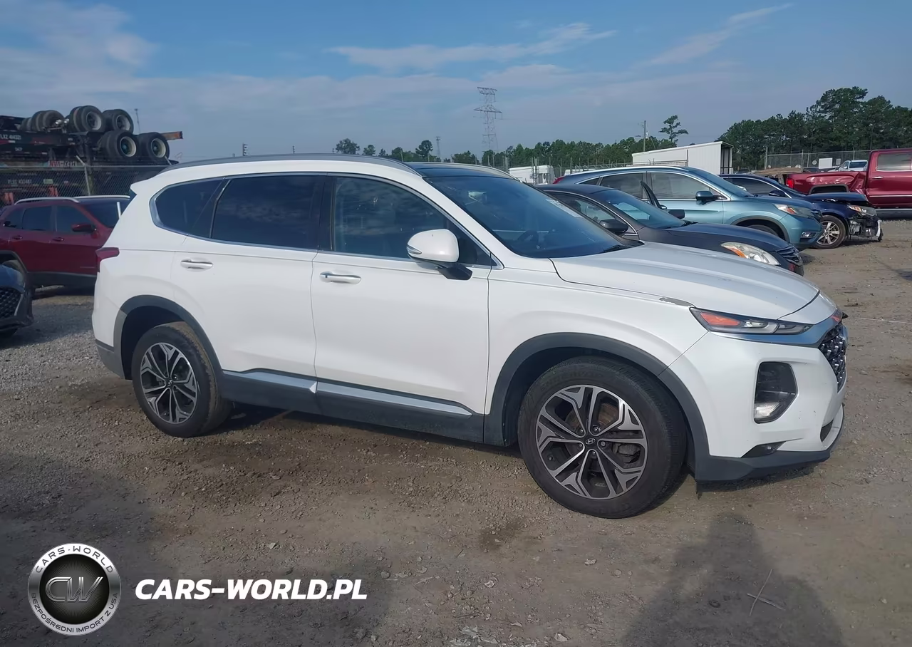 2019 Hyundai Santa Fe Limited 2.0T VIN:5NMS5CAA9KH127190 - 13