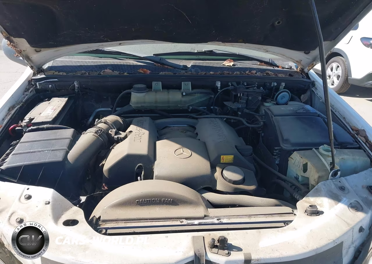 1999 Mercedes-Benz Ml 320 VIN:4JGAB54E5XA143785 - 10