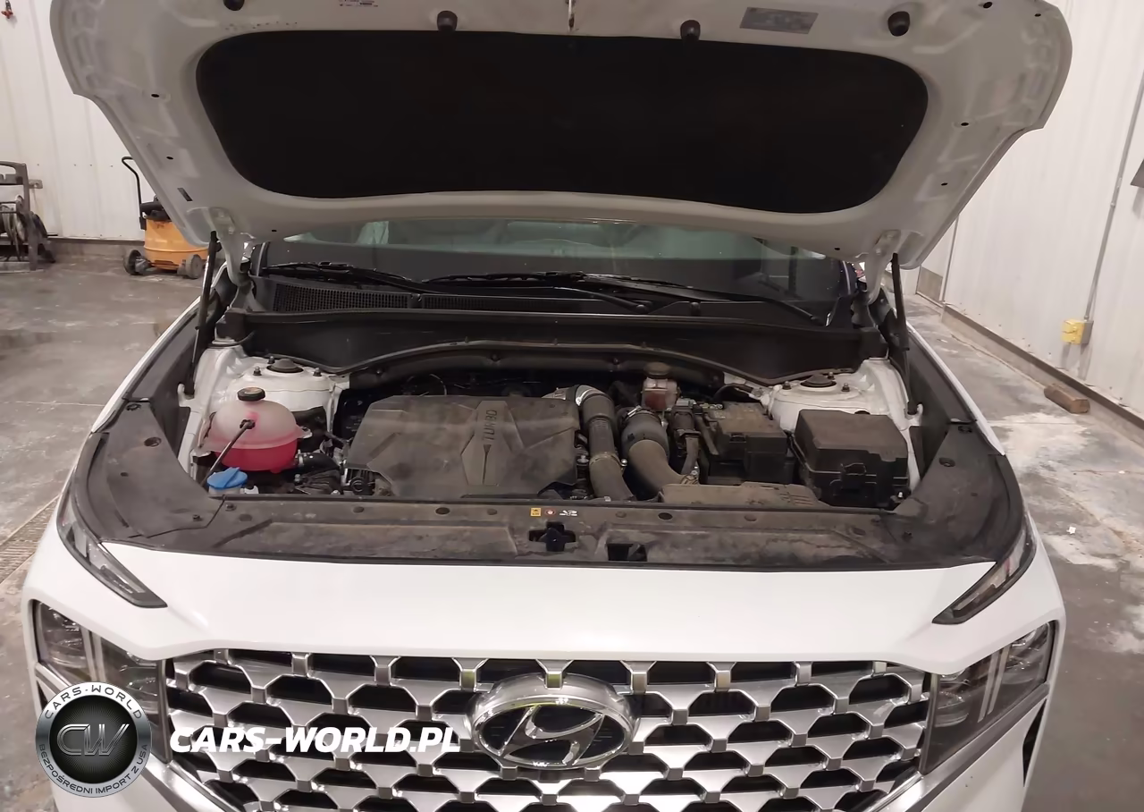 2021 Hyundai Santa Fe Limited VIN:5NMS4DAL3MH370426 - 10
