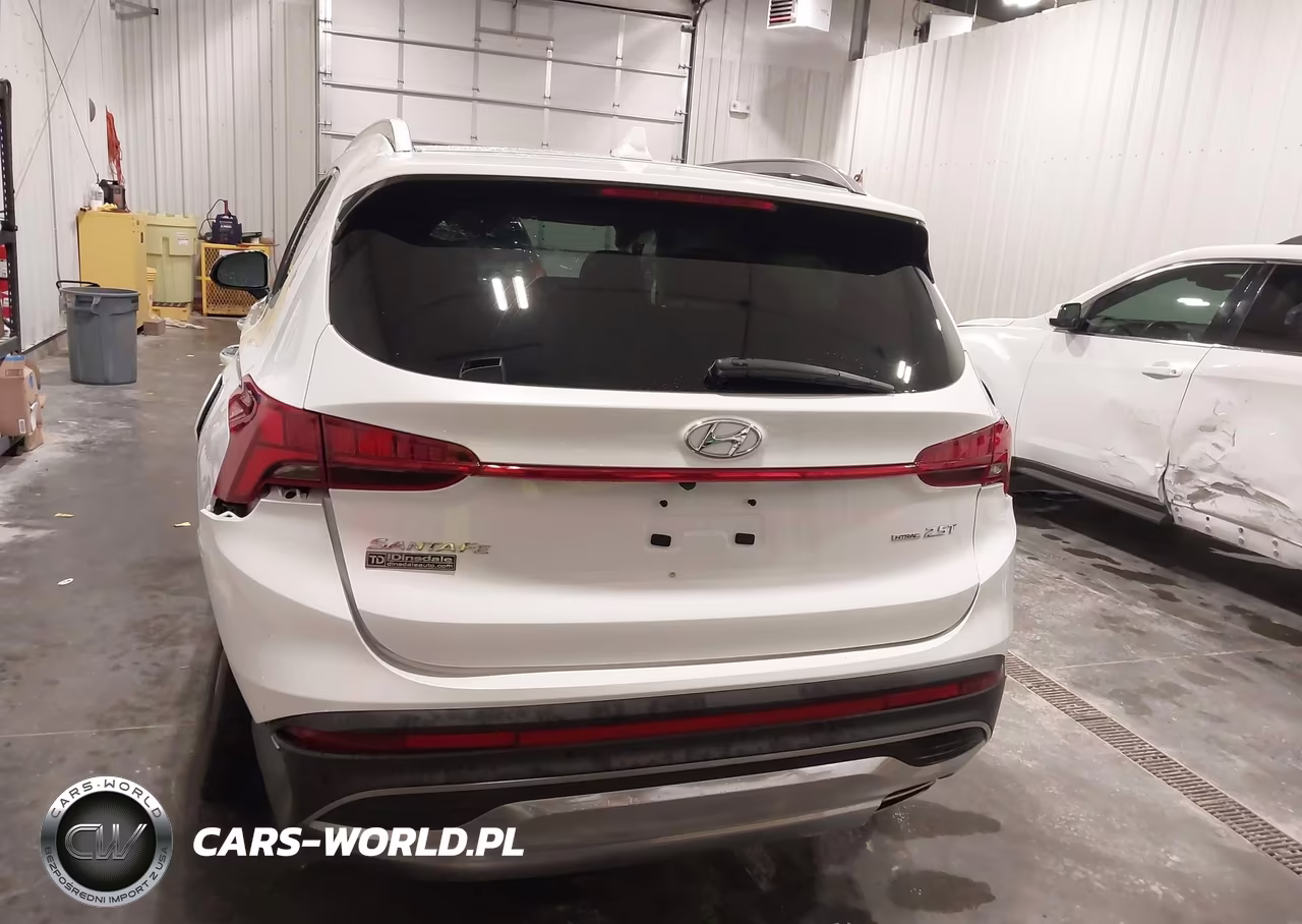 2021 Hyundai Santa Fe Limited VIN:5NMS4DAL3MH370426 - 17