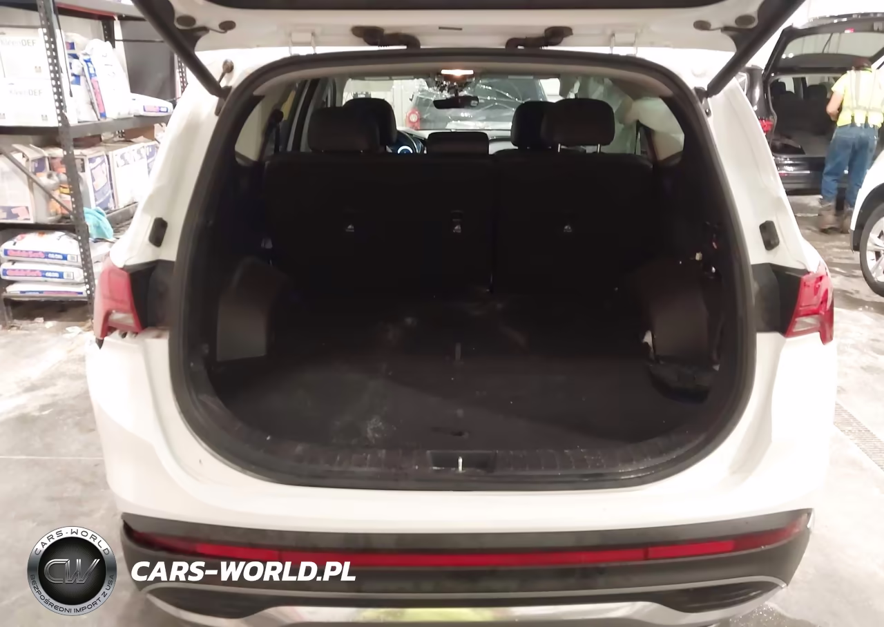 2021 Hyundai Santa Fe Limited VIN:5NMS4DAL3MH370426 - 18