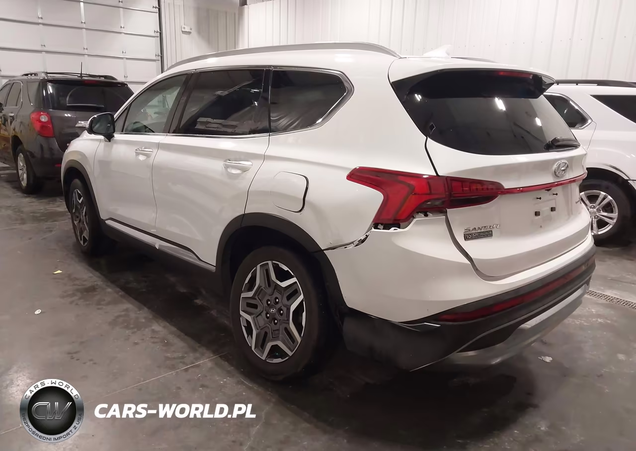 2021 Hyundai Santa Fe Limited VIN:5NMS4DAL3MH370426 - 19