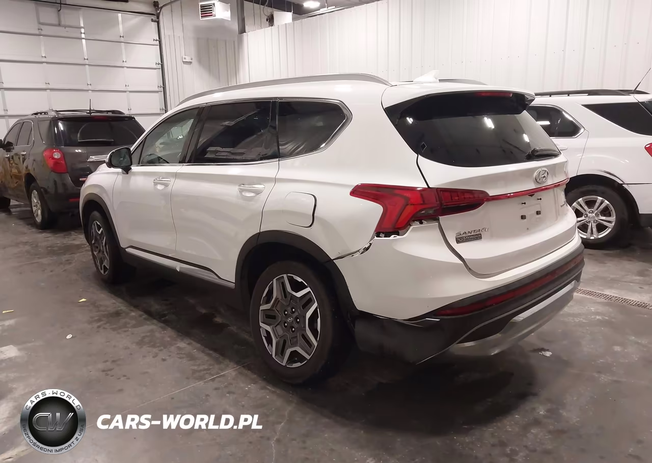 2021 Hyundai Santa Fe Limited VIN:5NMS4DAL3MH370426 - 3