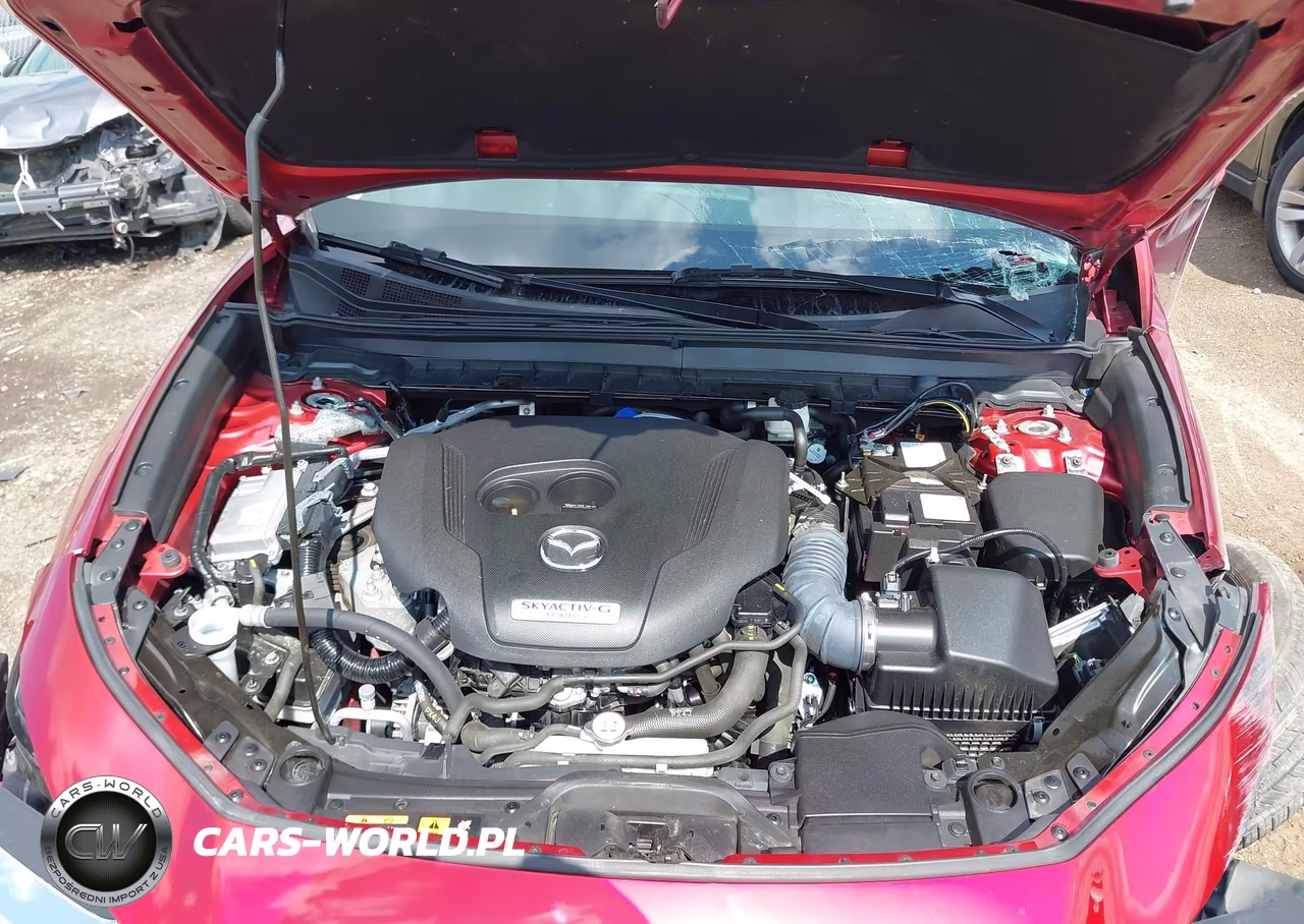 2021 Mazda Cx-30 2.5 Turbo VIN:3MVDMBAY9MM258024 - 10