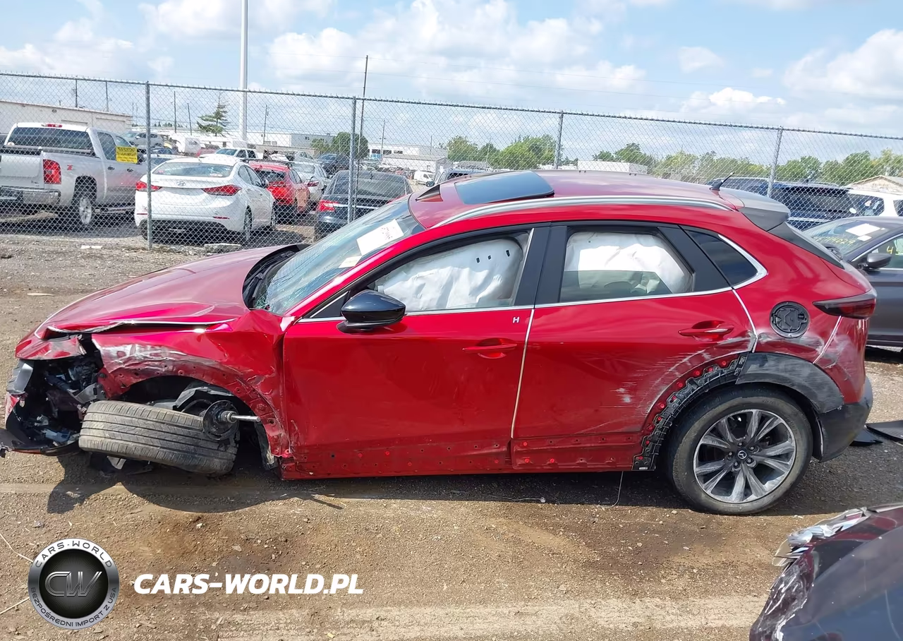 2021 Mazda Cx-30 2.5 Turbo VIN:3MVDMBAY9MM258024 - 14