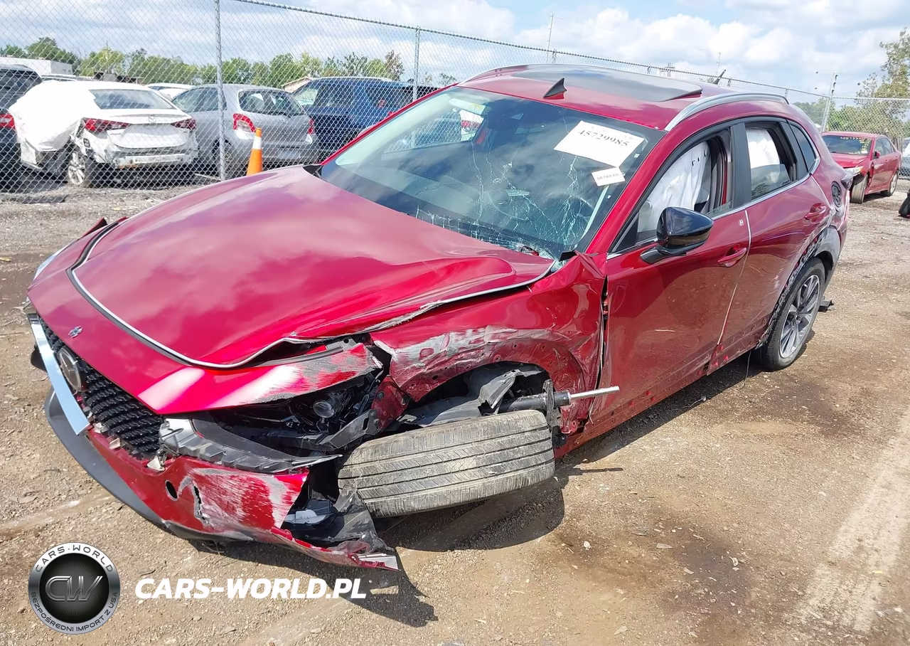 2021 Mazda Cx-30 2.5 Turbo VIN:3MVDMBAY9MM258024 - 2