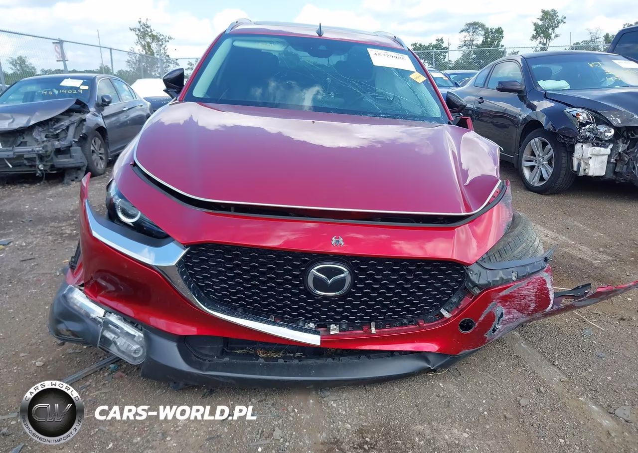 2021 Mazda Cx-30 2.5 Turbo VIN:3MVDMBAY9MM258024 - 6