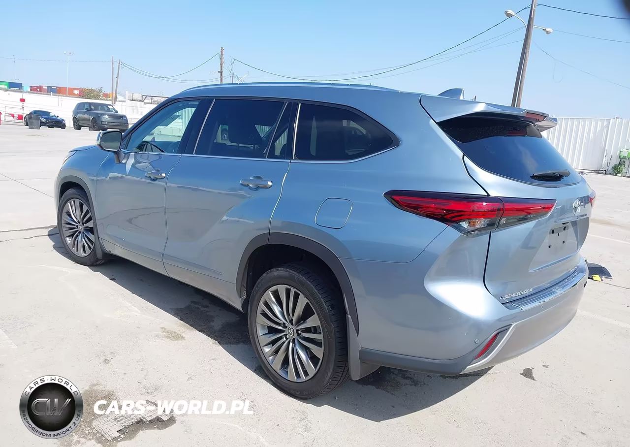 2020 Toyota Highlander Platinum VIN:5TDFZRBH3LS001667 - 3