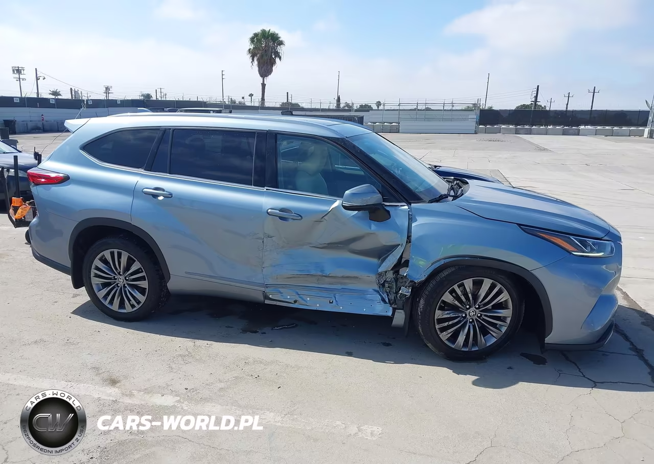 2020 Toyota Highlander Platinum VIN:5TDFZRBH3LS001667 - 6