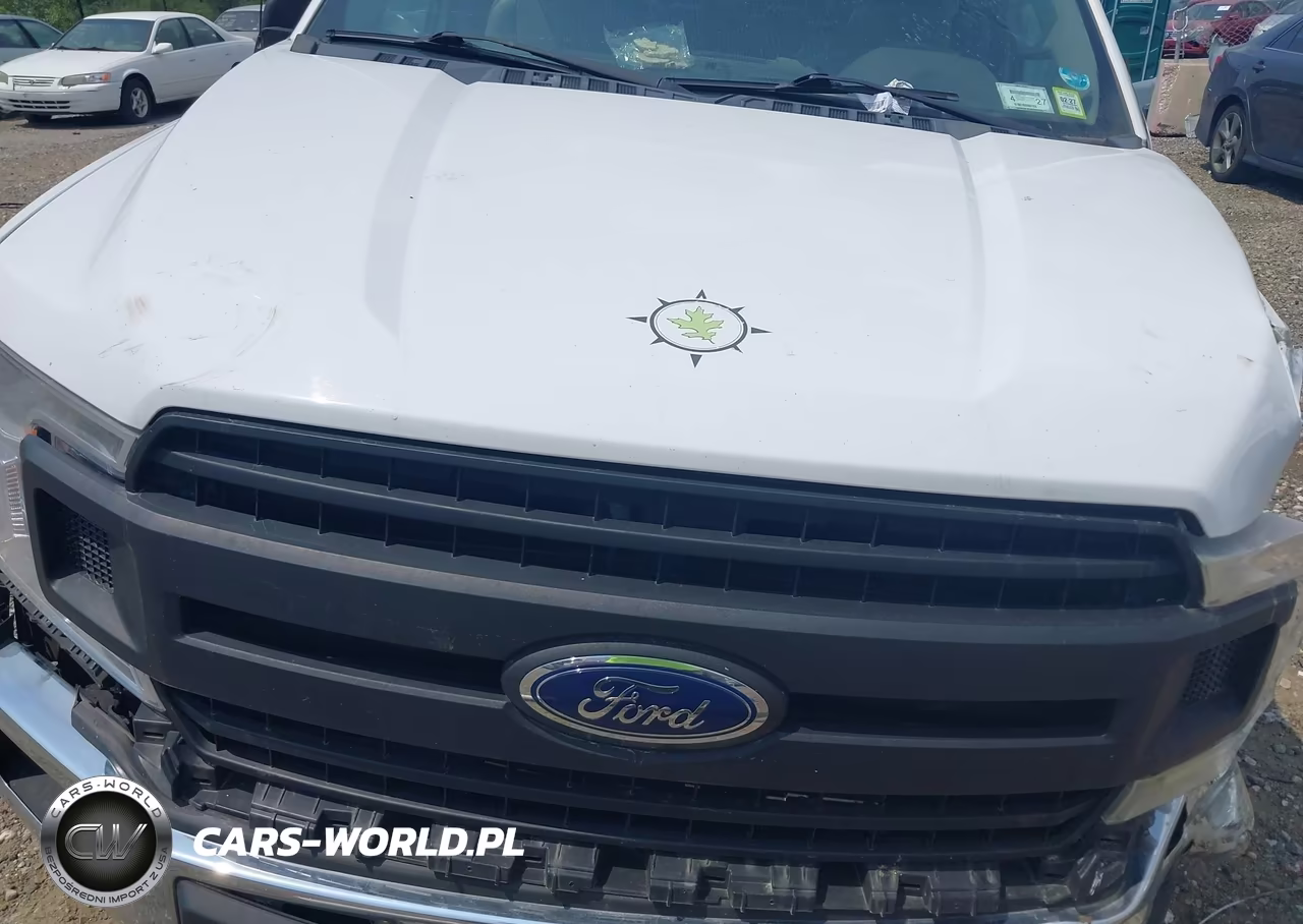 2018 Ford F-150 Xl VIN:1FTEX1EB2JKC30422 - 10