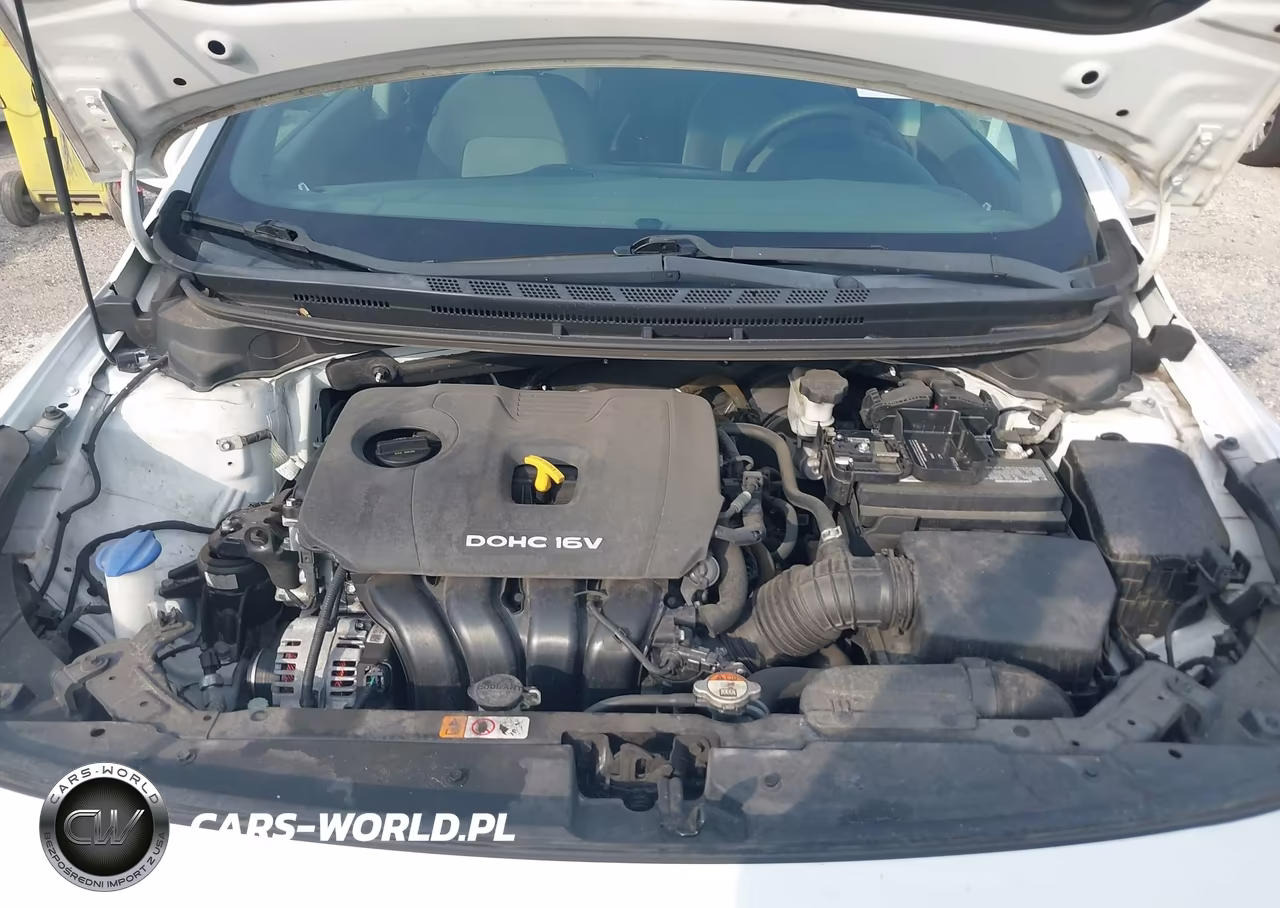 2018 Kia Forte Lx VIN:3KPFK4A72JE219977 - 10