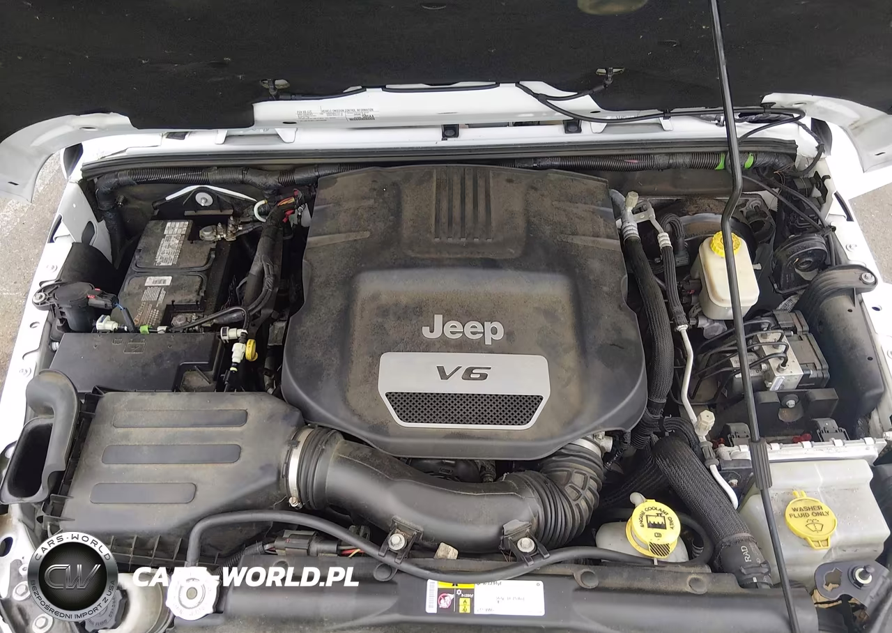 2016 Jeep Wrangler Unlimited Backcountry VIN:1C4HJWEG2GL251670 - 10