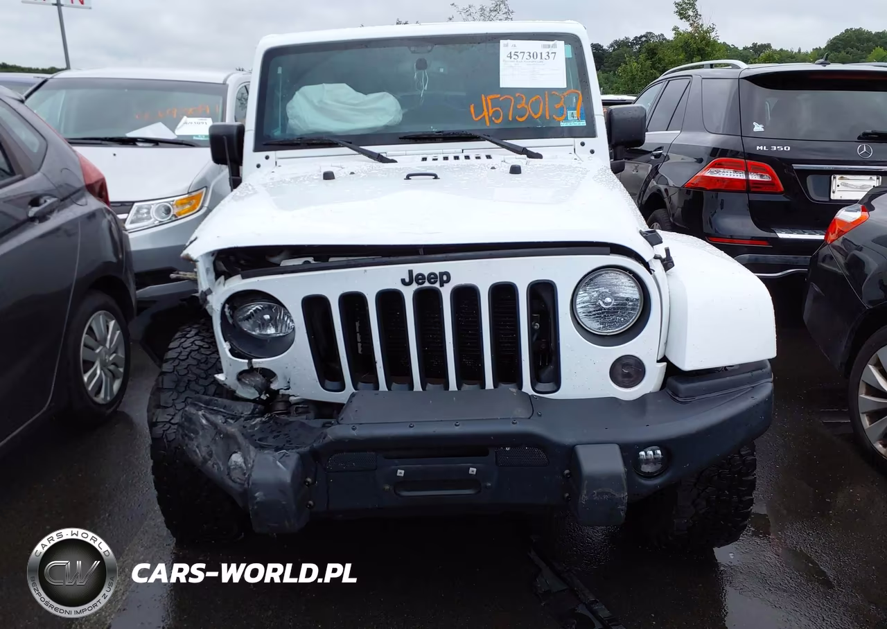 2016 Jeep Wrangler Unlimited Backcountry VIN:1C4HJWEG2GL251670 - 12