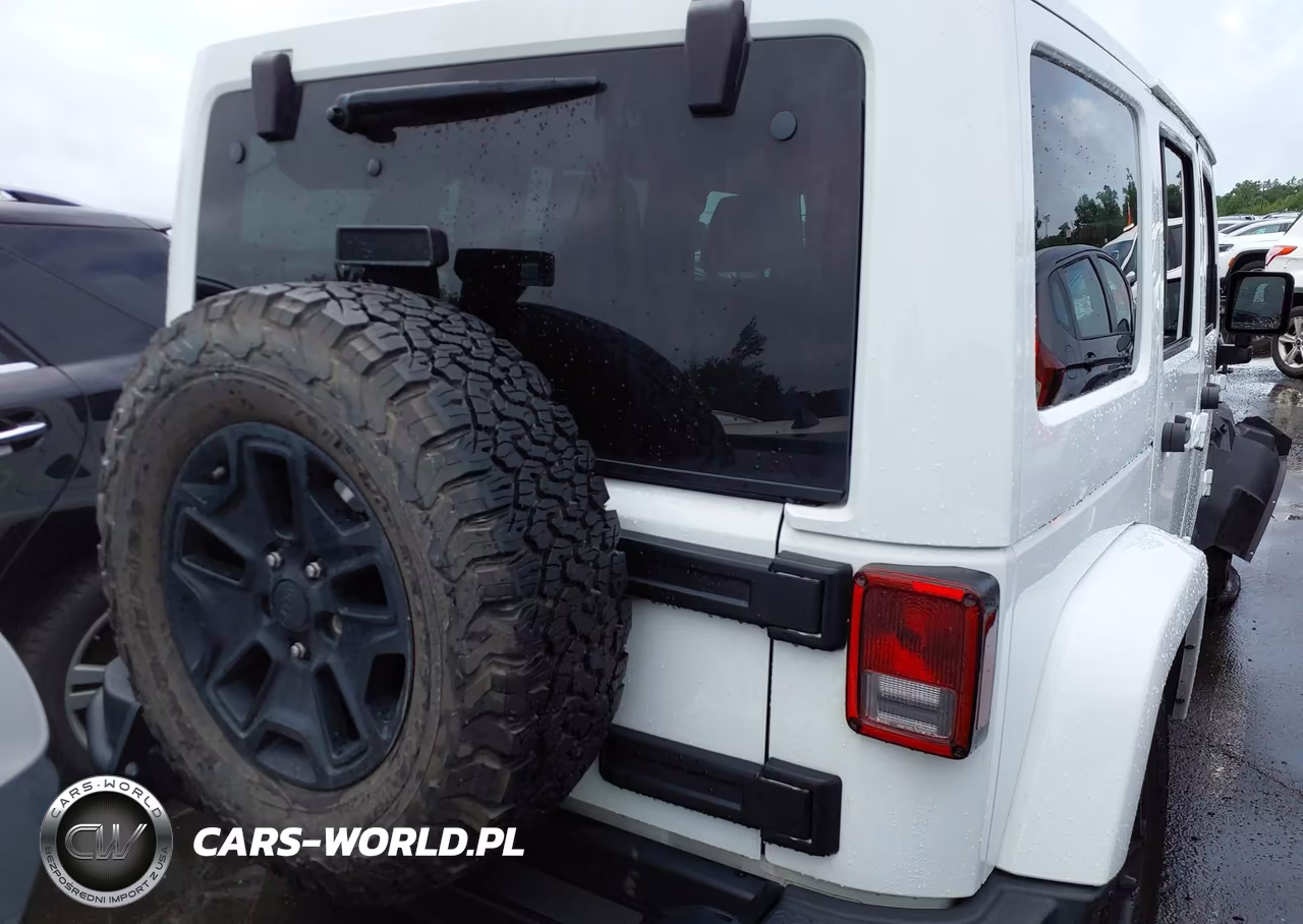 2016 Jeep Wrangler Unlimited Backcountry VIN:1C4HJWEG2GL251670 - 16