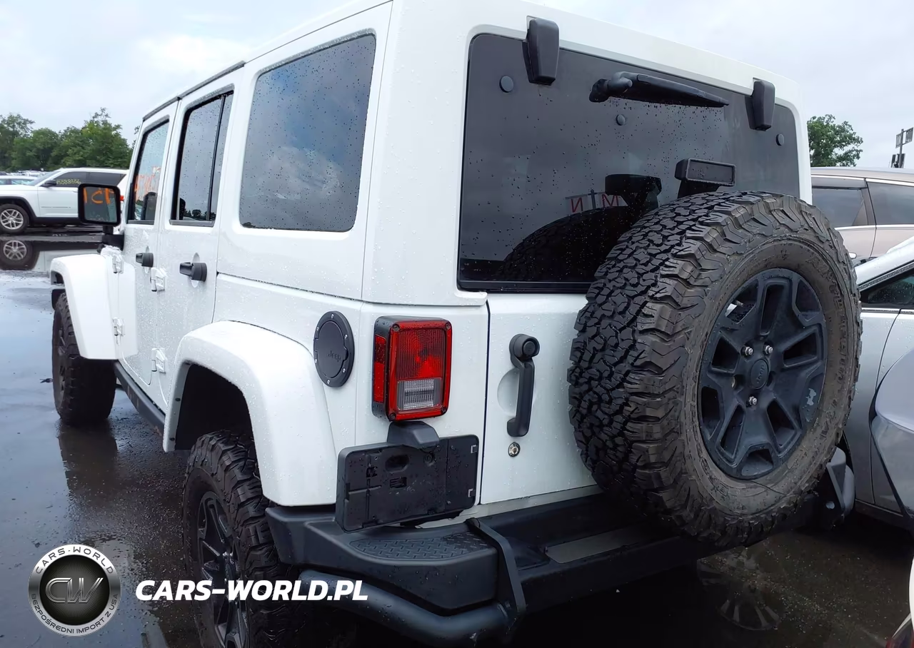2016 Jeep Wrangler Unlimited Backcountry VIN:1C4HJWEG2GL251670 - 3