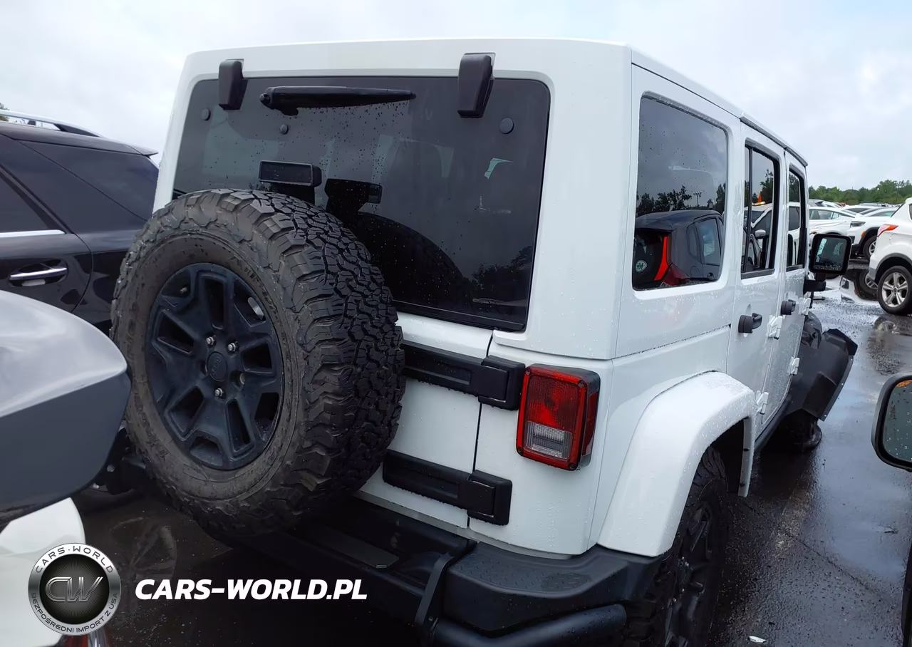 2016 Jeep Wrangler Unlimited Backcountry VIN:1C4HJWEG2GL251670 - 4