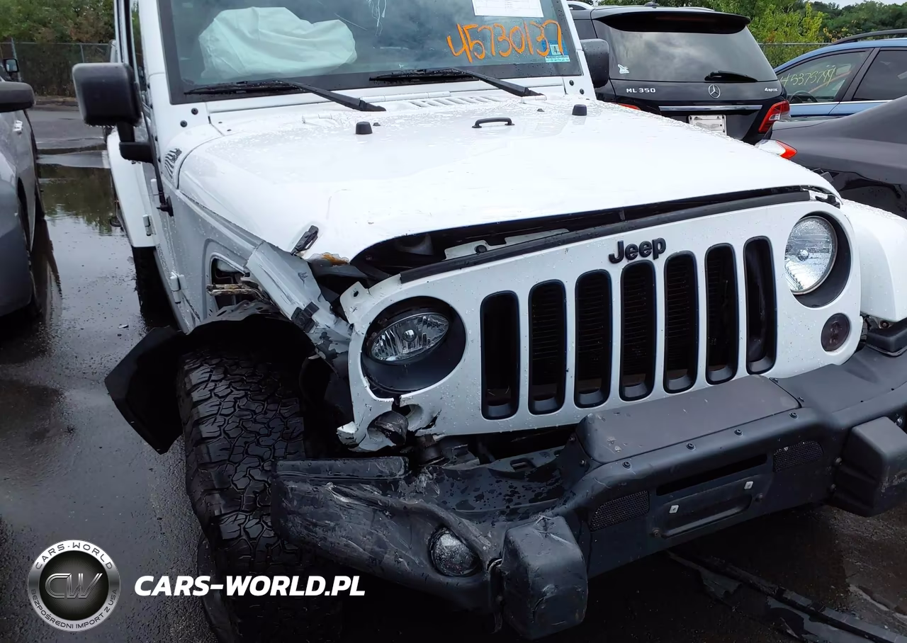 2016 Jeep Wrangler Unlimited Backcountry VIN:1C4HJWEG2GL251670 - 6