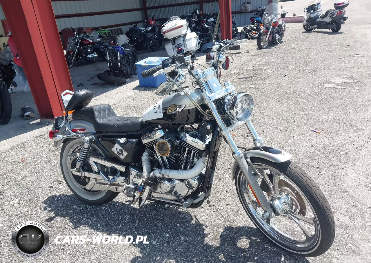 2003 Harley-Davidson Xl1200 C Anniversary VIN:1HD1CGP483K403521 - 12