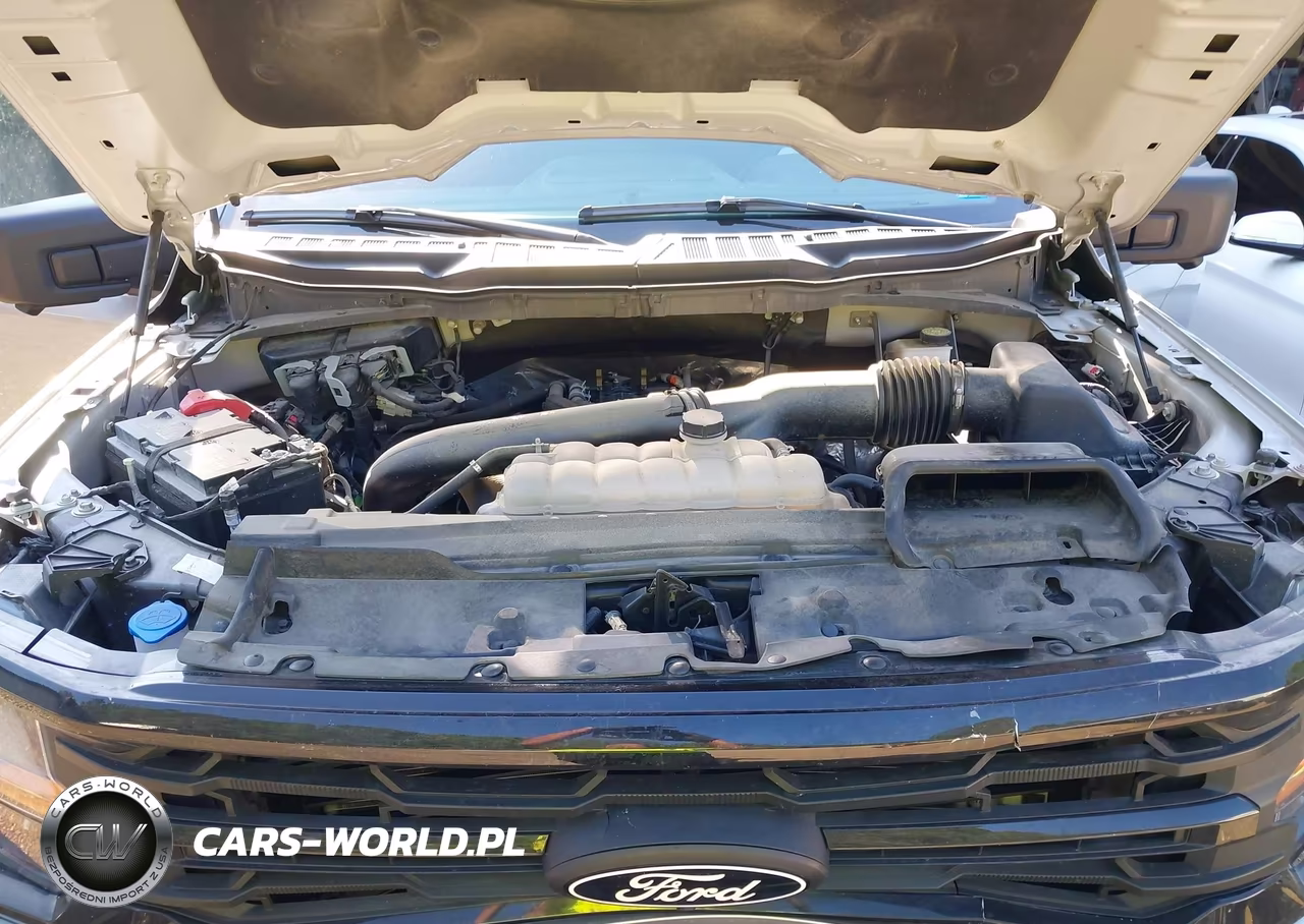 2024 Ford F-150 Xlt VIN:1FTFW3L85RKD20069 - 10