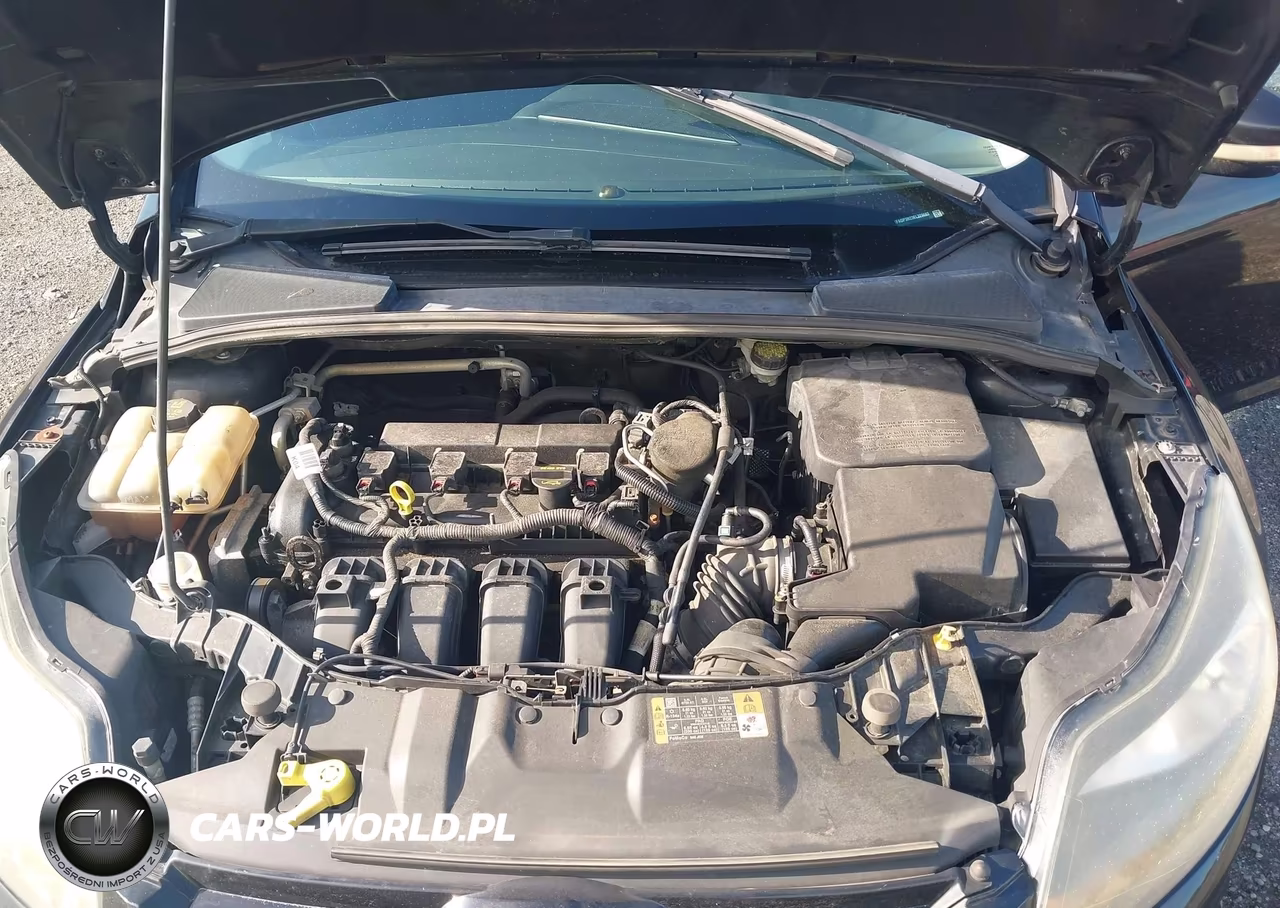 2014 Ford Focus Titanium VIN:1FADP3N23EL329683 - 10