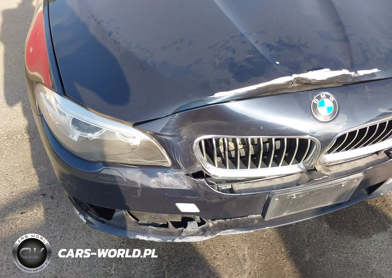 2014 BMW 528I VIN:WBA5A5C51ED503993 - 17