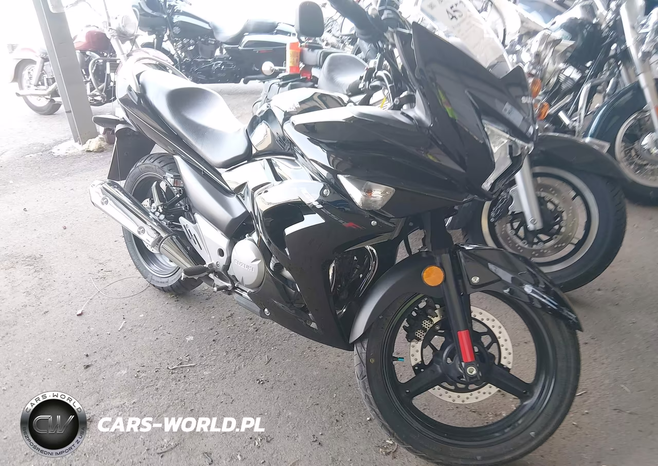 2015 Suzuki Gw250 – zdjęcie 1 z 13