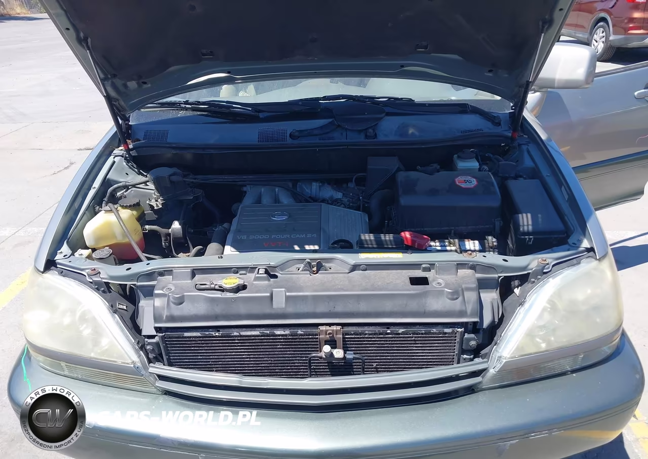 2000 Lexus Rx 300 VIN:JT6HF10U3Y0134787 - 10